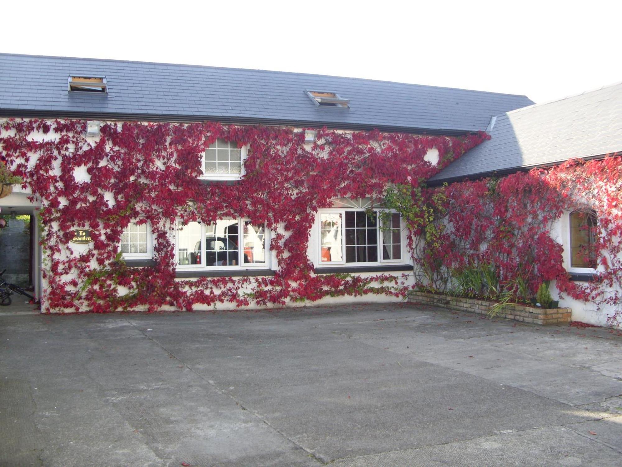 Townsend House Guest House Birr Exterior photo